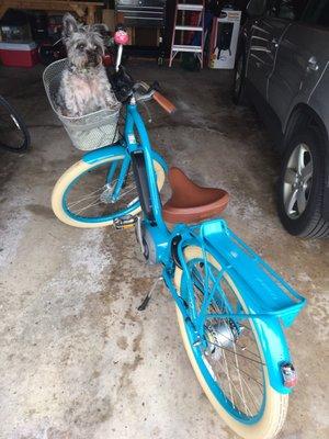 Bowser and I our new Electra! And we love our friendly neighbor bike professional at Emerys!!