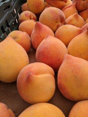 Fantastic Elbert peaches from @KashiawaseFarms stand