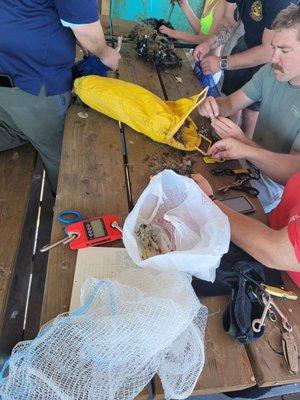 Sorting the trash, I of course took all the sea life back out to the water cause...ya know....it's me