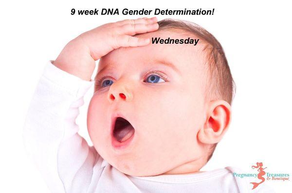 DNA Gender at 9 weeks