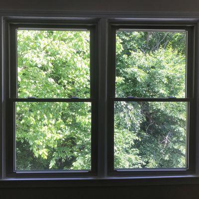 Upstairs bedroom windows. I could never see clearly out of these before