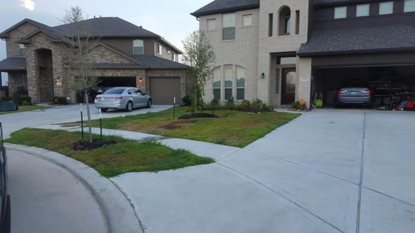 Lawn before organic fertilizer