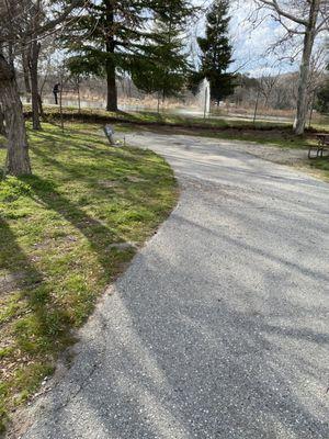 Campsite near fishing pond