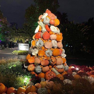 Pumpkins Aglow 2022