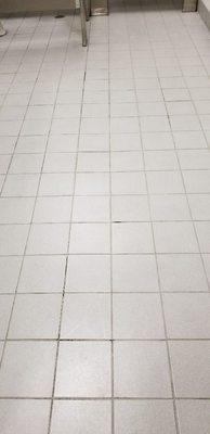 This is after cleaning of grout cleaning.