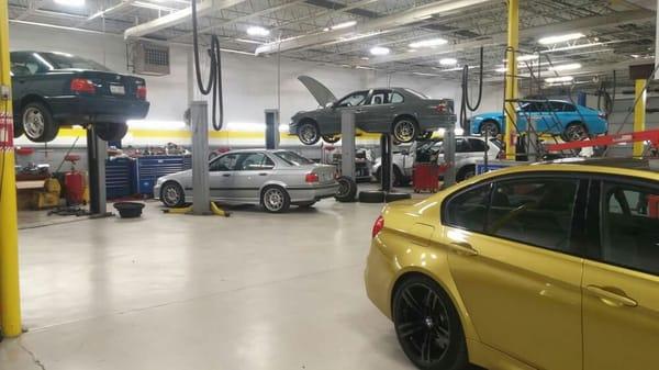 12/10/15 - Another beautiful day at BMW Excluservice!