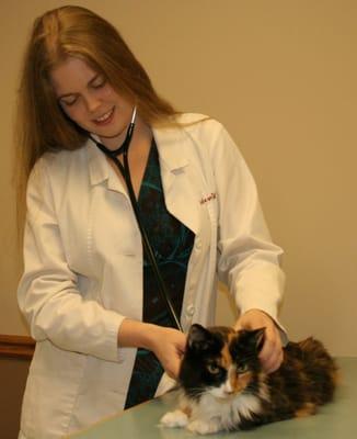 Chastain Animal Clinic