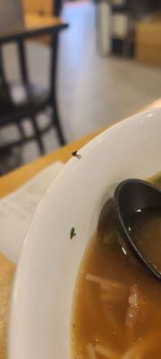 Some insect on my Soup