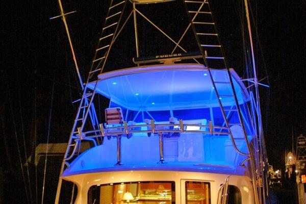 Marine LED lights and lighting accessories