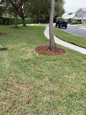 Mulching job in Clearwater community.