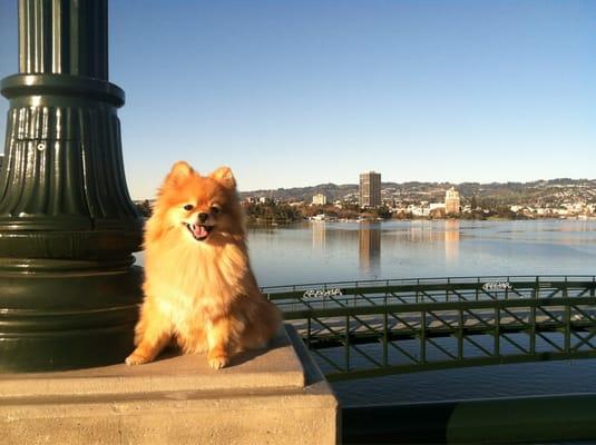 Just finished walking the lake.