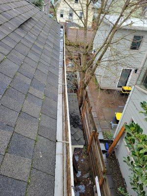 Gutter Cleaning Before and After