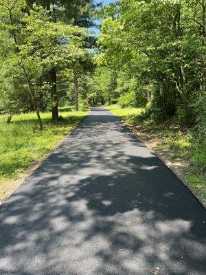 Driveway toward the road