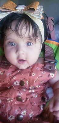 Regina Sophia, 4 months old, I am American, I was born in Los Angeles CA, I would like to have an Agent to represent me, I am very talented