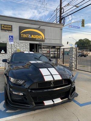 Vinyl racing stripes done on a GT500