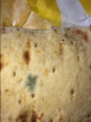 Mold on Flatbread