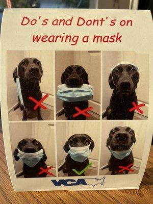 Mask advice from man's best friend.