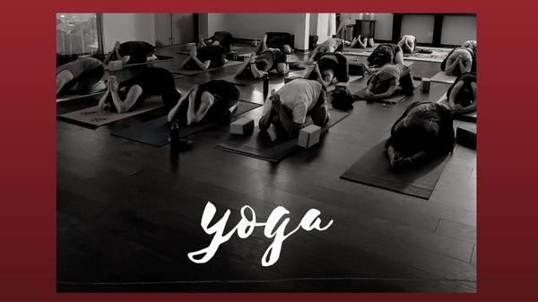 Subtle to energized classes include asana, pranayama and meditation guided by the unique understanding and experience of each teacher.