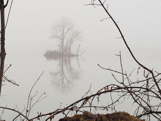 View from the West Harbor Trail on a foggy afternoon.