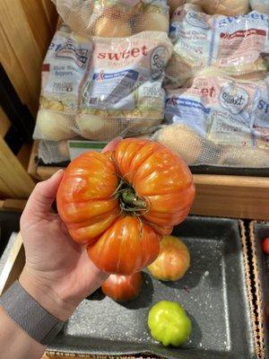 Beautiful tomato