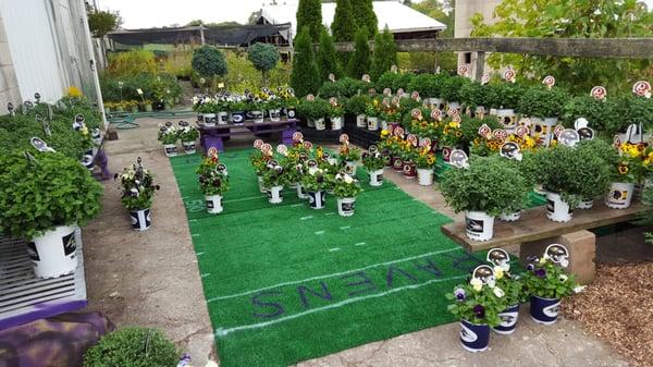 Wakefield Valley Nursery