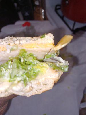 Turkey sub