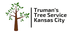 Truman's Tree Service Kansas City