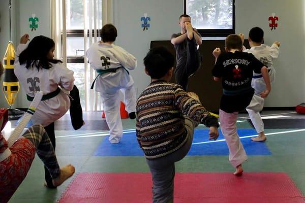 Sensory Taekwon-Do