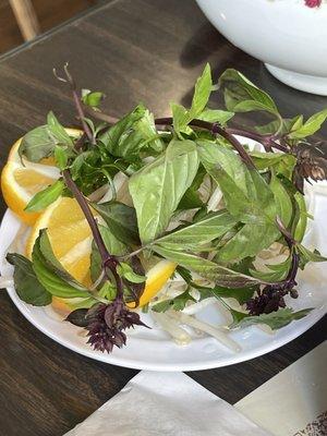 Basil, cilantro and sprouts