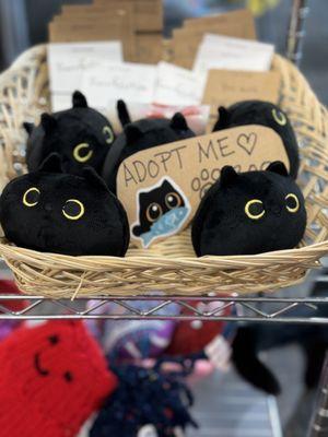 Adorable plushies of the shop cat!