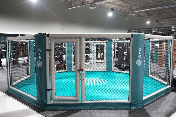 MMA Octagon