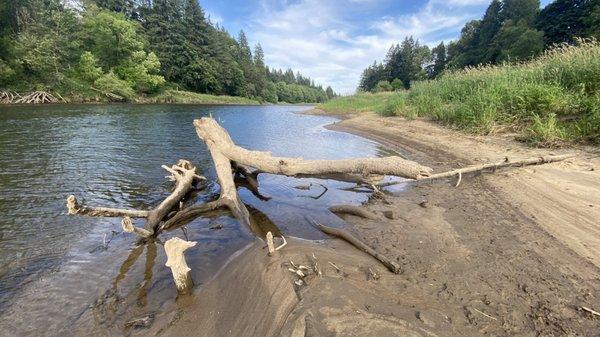 Lewis River, Paradise Point State Park, WA