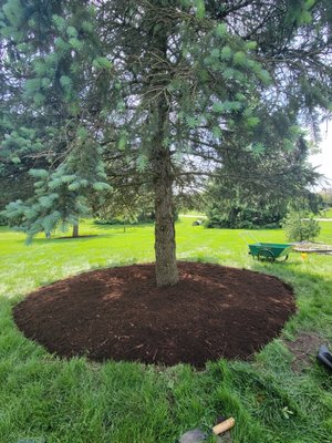 Mulching, Edging, Weed Barrior Installed