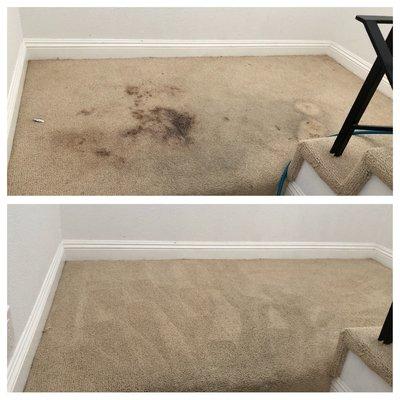 Carpet Steam Cleaning, Upholstery Steam Cleaning. We do it all!