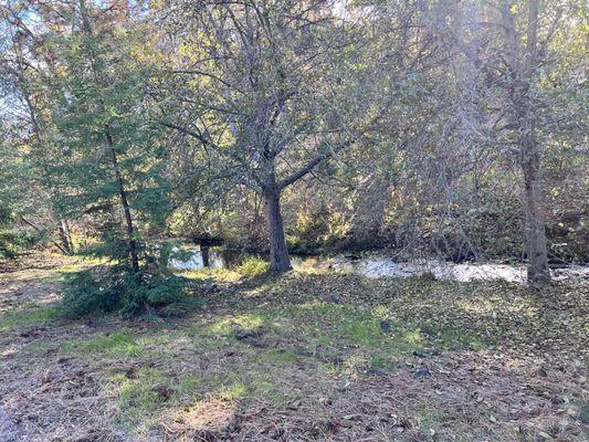 Creek running through the property.