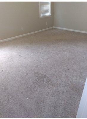 Master carpet before cleaning!