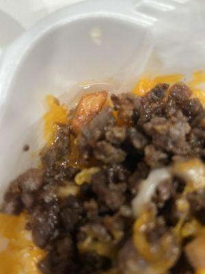 They were supposed to be supreme fries but I received regular azada fries with cheese in an un-edible river bed of oil.