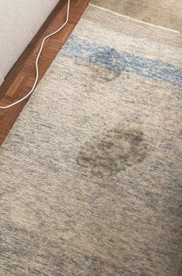 Dupont Circle Carpet Cleaning