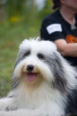 Rugby. Handsome boy