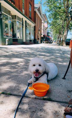 Dog friendly, outdoor dining