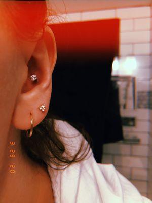 Hoop purchased at Mejuri (small gold hoops), second piercing and conch stud purchased at Hot Rod Piercing.