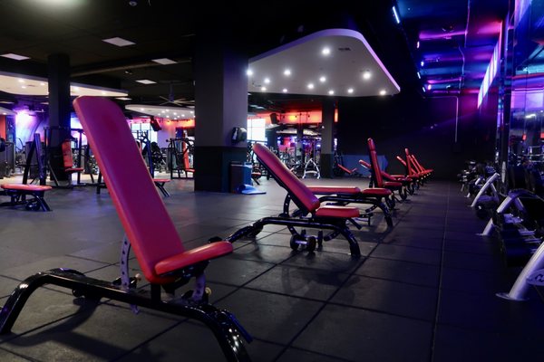 Variety of adjustable benches and bench presses located on 3rd floor