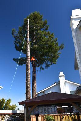 Jerry's Tree Service