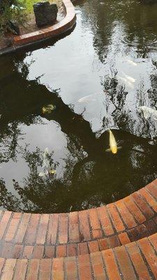 They have a big pond of koi fishes and there's at least 30 of them, if not more. Kinda cool.