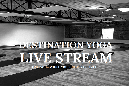 FREE YOGA LIVE!