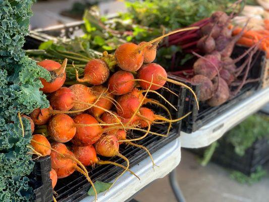 Red and golden beets