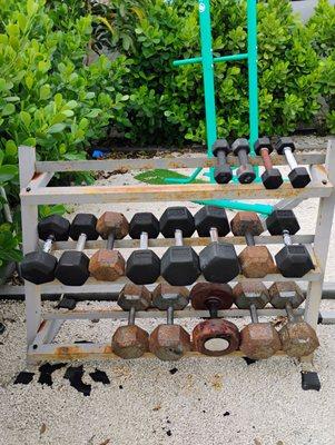 Dumbbells.