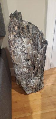 Petrified wood