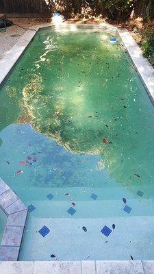 Before & After Pool Cleaning in Frisco, TX