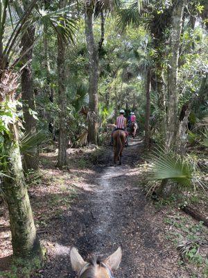 Horseback Trail Rides